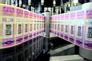 Акцизы на пиво, сидр и медовуху проиндексируют на 2026-2028 годы